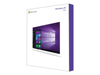 MS Windows 10 Professional 32-Bit/64-Bit USB Flash Drive English International (EN)