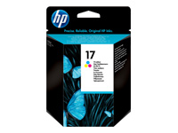 HP 17 ink color