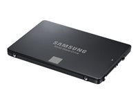 SAMSUNG 750 EVO SSD 250GB intern SED 6.4cm 2.5inch SATA 6Gb/s
